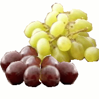 grapes.gif